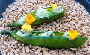  at Humus x Hortense in Brussels