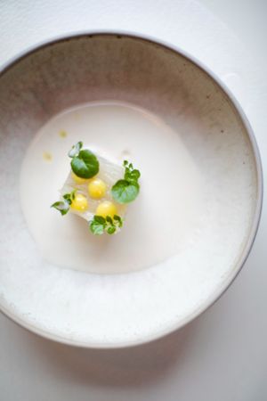  at Humus x Hortense in Brussels