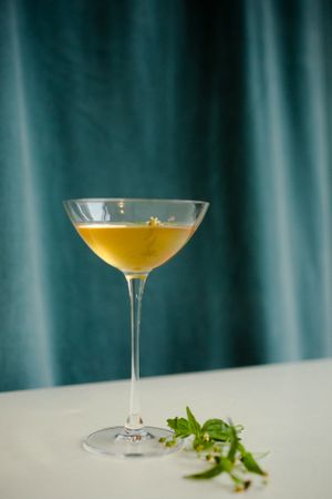  at Humus x Hortense in Brussels