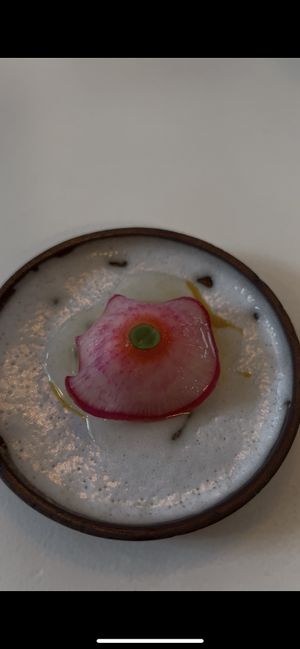   at Humus x Hortense in Brussels