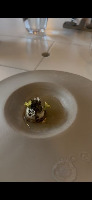   at Humus x Hortense in Brussels