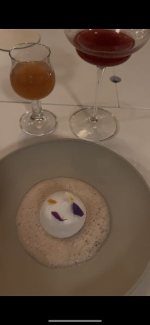   at Humus x Hortense in Brussels