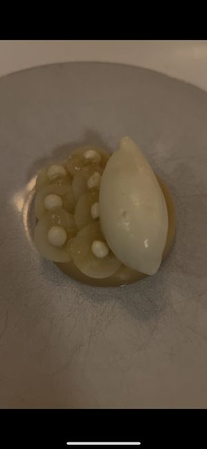   at Humus x Hortense in Brussels