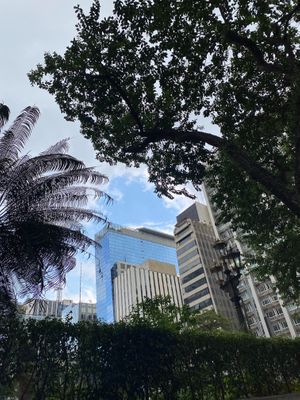 Alameda Campinas x Av. Campinas  at Vita Natural in Sao Paulo