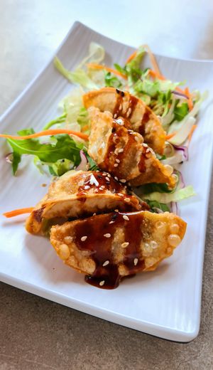 Crunchy dumplings at +84 Asian Restaurant in Berlin