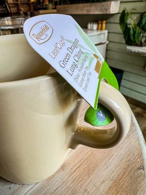   at Veggiezz - Opernring in Vienna