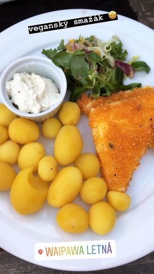 fried cheese at Waipawa - Letna in Prague