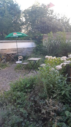 Garden in the  back of the restaurant with about 10 tables at Waipawa - Letna in Prague