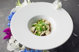 Kelp noodles  at Verde Cafe in Moscow