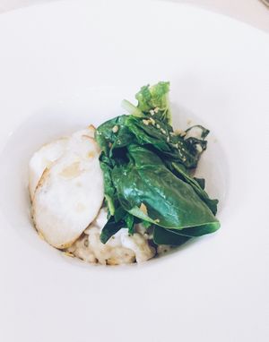 risotto  at Verde Cafe in Moscow