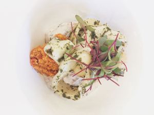 vegan squids at Verde Cafe in Moscow