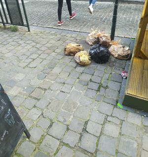 Trash before entering at The Judgy Vegan in Brussels