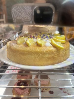   at The Judgy Vegan in Brussels