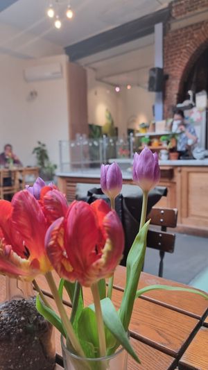  at The Judgy Vegan in Brussels