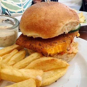   at The Judgy Vegan in Brussels