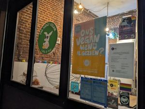  at The Judgy Vegan in Brussels