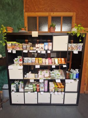  at The Judgy Vegan in Brussels