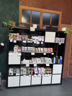   at The Judgy Vegan in Brussels