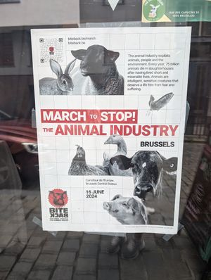 Vegan FTA at The Judgy Vegan in Brussels