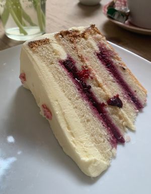 This was a lemon and raspberry jam cake. It was incredibly delicious at The Judgy Vegan in Brussels