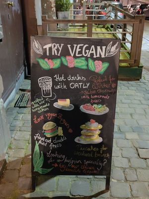  at The Judgy Vegan in Brussels