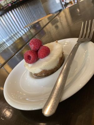 Vegan cheesecake at Kollective Coffee & Tea in Hot Springs