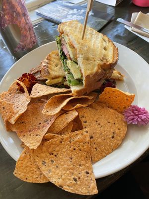 The T.A.L.T at Kollective Coffee & Tea in Hot Springs