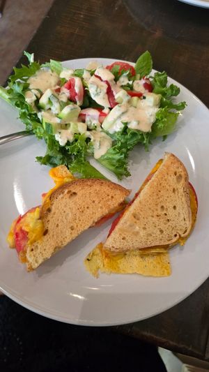 Adult vegan grill cheese sandwich with gluten-free bread at Kollective Coffee & Tea in Hot Springs
