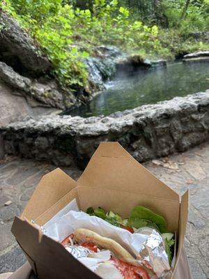 With a side of salad and nature. Nature found close by. Across the street    at Kollective Coffee & Tea in Hot Springs