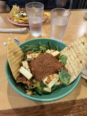 build your own bowl with tofu, jackfruit, mild salsa, soy ginger sauce, + many toppings  at Black Bear Burritos - Evansdale in Morgantown