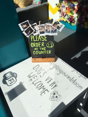 Dogs very welcome at In Bloom in Glasgow