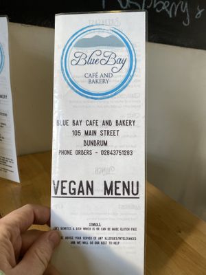 Separate vegan menu at Blue Bay Cafe and Bakery in Dundrum