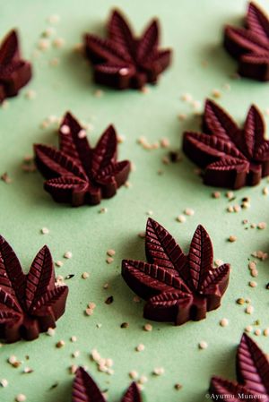  at Hemp Cafe Tokyo in Tokyo