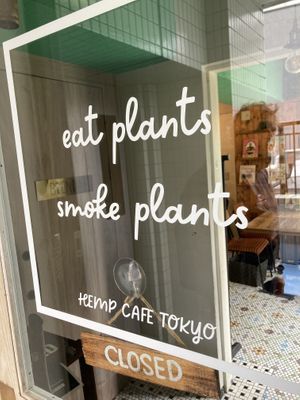   at Hemp Cafe Tokyo in Tokyo