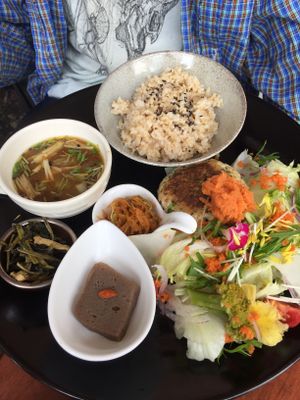 Hamburg tofu meal at Kururu in Nara