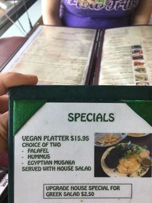 Clearly understand what vegan means  at Mini Pita Cafe in Fort Lauderdale