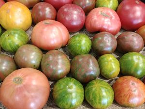Local heirloom tomatoes! at Choices Natural Market in Loves Park