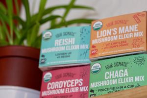 OUR MENU IS FULL OF HEALTHY AND DELICIOUS BEVERAGES, AS WELL AS A WIDE VARIETY OF MUSHROOM ELIXIRS AND BOOSTS THAT CAN BE COMBINED WITH ANY DRINK FOR A PERSONALIZED CUP OF SUPERFOOD GOODNESS. LIKE A MACA REISHI SUPERFOOD MOCHA, FOR EXAMPLE.  WE ALSO FEATURE A SELECTION OF HOMEMADE BAKED GOODS, MADE FROM SCRATCH USING ONLY ORGANIC, VEGAN & GLUTEN FREE INGREDIENTS. at Silk Road Chai Shop in Mount Shasta