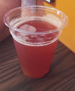 Elderberry kombucha at Hippy Chick Hummus in Frederick