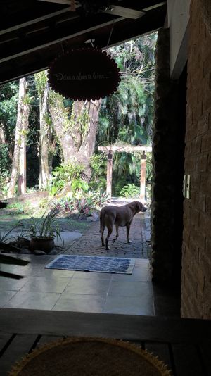 pet friendly 💖 at Nacasadela in Penedo