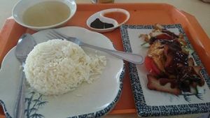 Char Siew Rice. at Li Wei Vegetarian 笠维素食 in Northeast Singapore