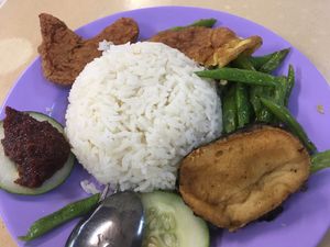 Nasi Lemak at Li Wei Vegetarian 笠维素食 in Northeast Singapore
