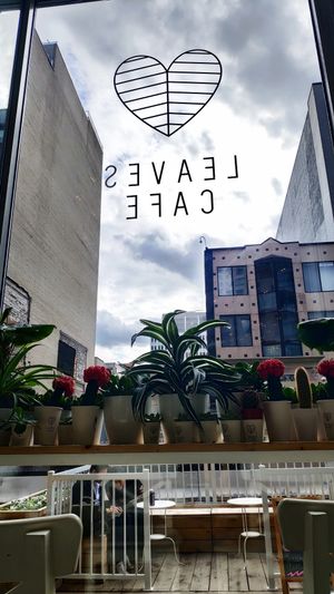 Beautiful interior at Leaves House | in Montreal