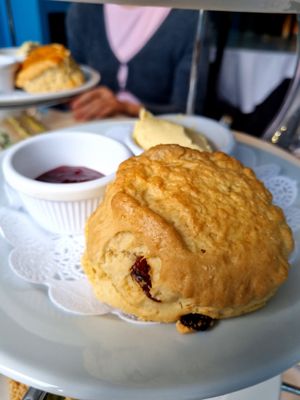 Fruit Scone + Vegan Butter + Jam at The Willow Tea Rooms in Glasgow