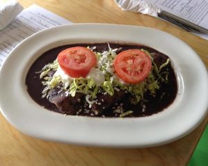 enfrijoladas  at El Mana Vegetarian in Mexico City