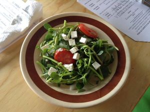 ensalada de verdolagas  at El Mana Vegetarian in Mexico City