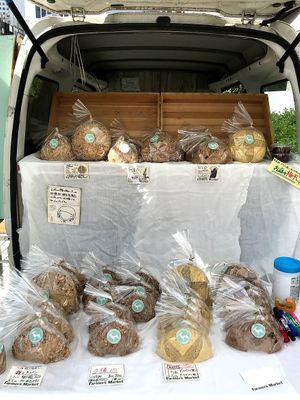 All Natural Bread (all vegan except one which has goat milk in it) at Farmer's Market - UNU in Tokyo