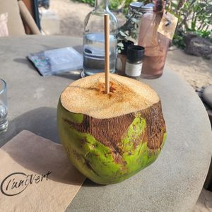  at L'UniVert in Saint-paul