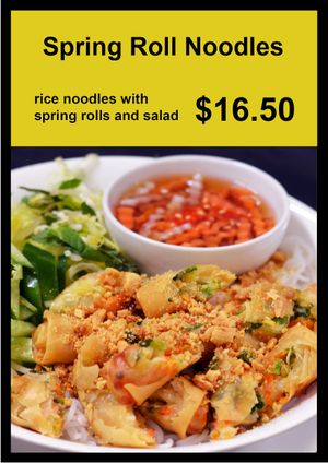 Spring Roll Noodles at An Nguyen Vegan in Canberra