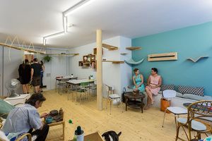 Interior DreamCATchers at DreamCATchers in Ghent